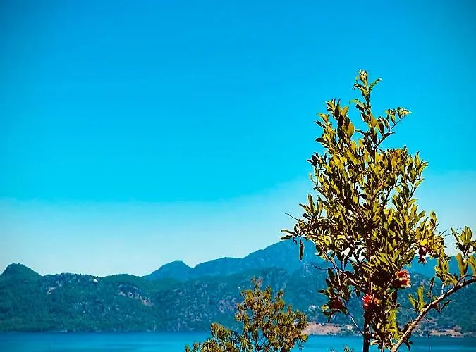 Defne Selimiye Apartment Marmaris