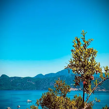 Defne Selimiye Apartman Marmaris