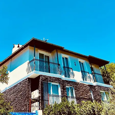 Defne Selimiye *